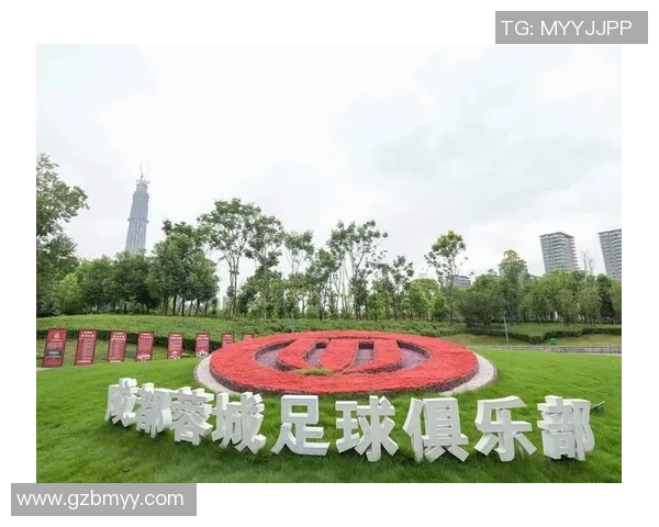 成都足球队整体压制战术的深度分析与实战应用探讨