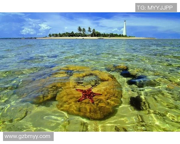 普吉岛足球明星的传奇故事与成就揭秘