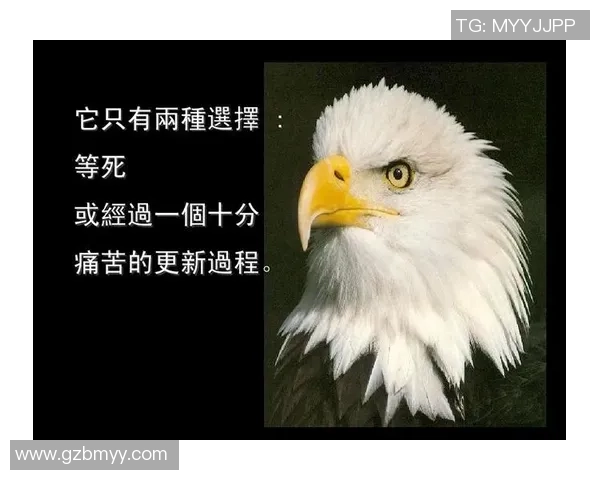李静:从绿茵场到人生舞台的深度对话与启示 李静:从绿茵场到人生舞台的深度对话与启示